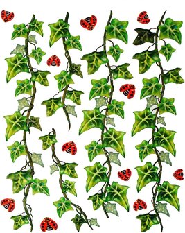 Statische raamstickers hedera lieveheersbeestje