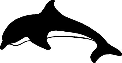bovenste Gezamenlijke selectie Beperking Raamsticker dolfijn div. kleuren - Plakfolie webshop
